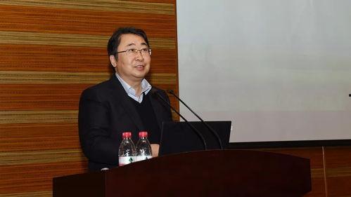 地安提瓜今日新闻,聚焦岛国发展新篇章”