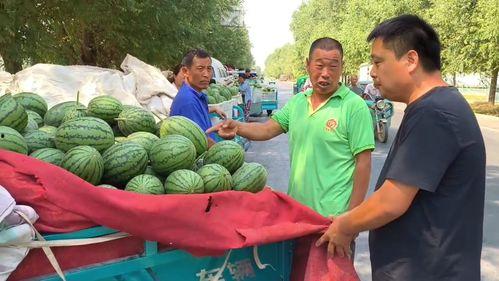东莞下桥麒麟瓜今日价格,价格行情一览”