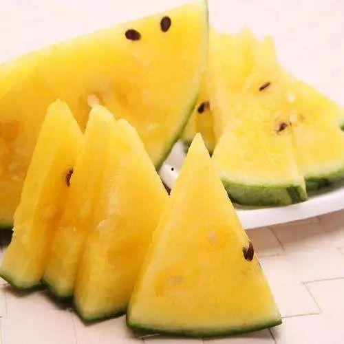 今日吃什么瓜最好吃,探寻最佳“吃瓜”体验