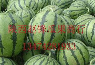 贵阳哈密瓜今日价格行情最新,价格行情一览