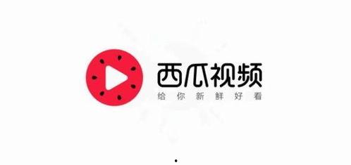 今日头条每日聪慧吃瓜,每日聪慧吃瓜，揭秘娱乐圈幕后真相！