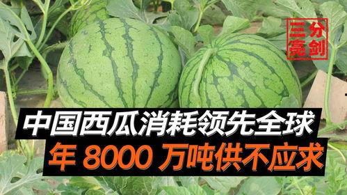 长春今日吃瓜事件真相是真的吗,事实与谣言的较量