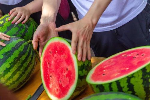 五一吃瓜今日吃瓜娜,今日焦点聚焦娜