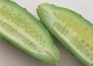 豆瓣今日的瓜,今日瓜料揭秘，网友热议不断！