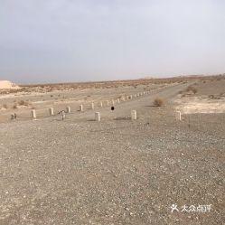 瓜州县今日猪价多少钱,行情稳定，价格详情揭晓