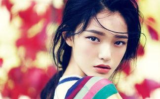 有钱玩明星网红的小说,与明星网红的奢华互动之旅