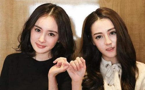 明星网红对爱情的看法,多元视角下的情感解读