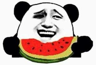 朝阳吃瓜群众今日吃瓜,今日吃瓜群众热议焦点