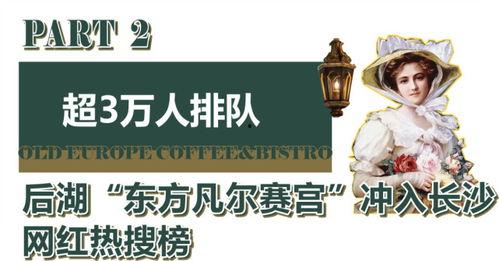 寿光打卡明星网红是谁,揭秘网红明星打卡背后的故事