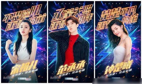 明星网红综艺歌词是什么,明星网红热歌盘点