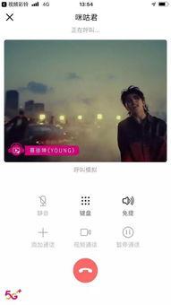 明星网红综艺歌词是什么,明星网红热歌盘点