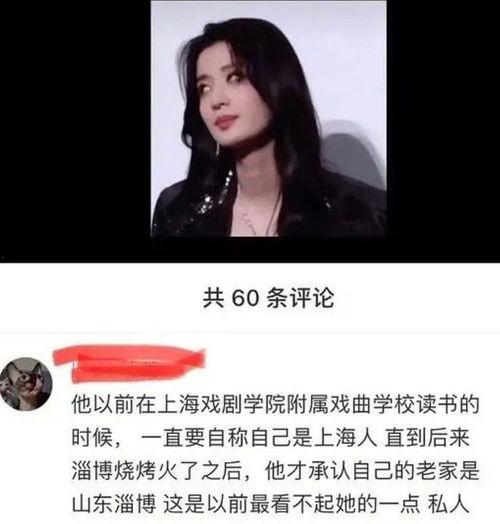 上海香港明星网红是谁,璀璨星光下的网络红人圈