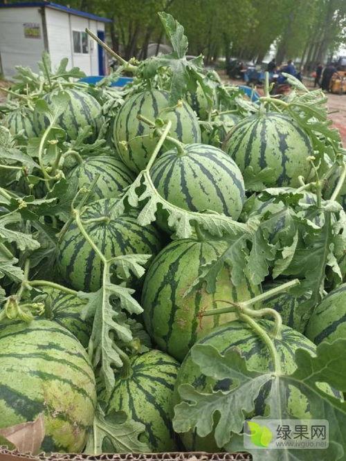 江苏瓜今日行情,供需两旺，价格稳中有升