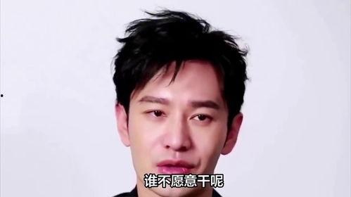 阳江明星网红有哪些名单,揭秘明星网红的璀璨星光