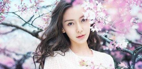 什么瑶的明星网红多,揭秘瑶族明星网红的崛起之路”