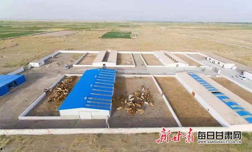 瓜州县双塔镇今日新闻,聚焦发展新动态，共绘乡村振兴新画卷