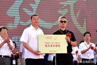 瓜州县双塔镇今日新闻,聚焦发展新动态，共绘乡村振兴新画卷