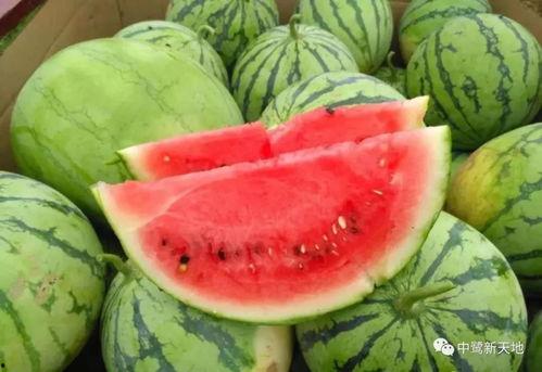 今日吃瓜大赏,盘点娱乐圈最新热点事件