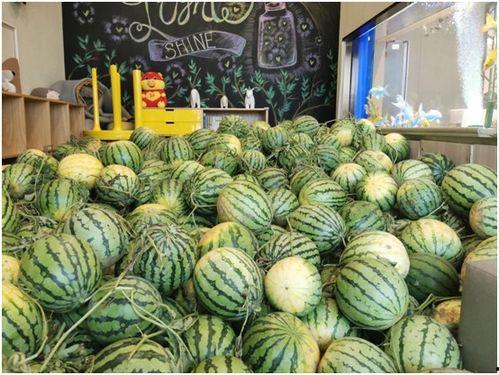 今日吃瓜大赏,盘点娱乐圈最新热点事件