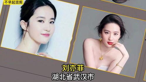 假装自己是明星网红的人,我的璀璨星途之旅