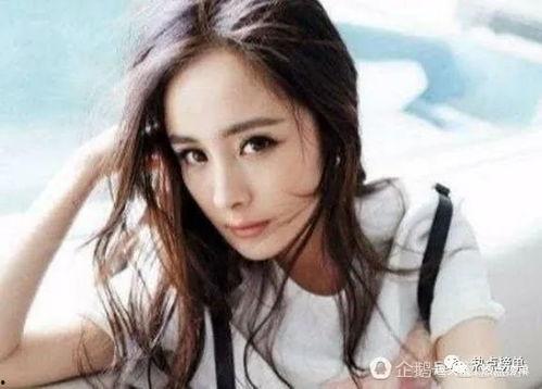 明星网红排名榜单图片,揭秘网络红人新势力