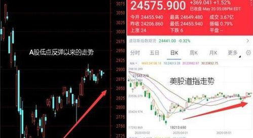 东风老瓜今日价格行情走势,今日行情解析与趋势展望