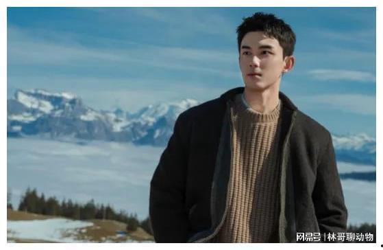 内娱男明星网红排名,揭秘网络人气王