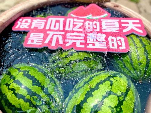 今日吃瓜大放送,娱乐圈热点事件盘点