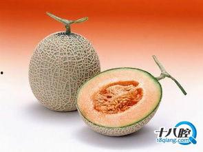 幼儿园今日份水果哈密瓜,甜蜜哈密瓜分享时光