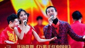 春晚明星网红有谁唱过,盘点历年经典瞬间