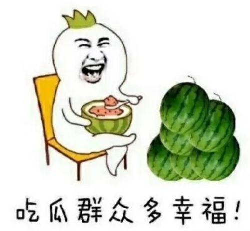 吃瓜收获今日快乐