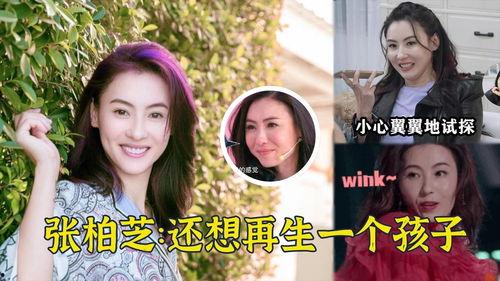 今日吃瓜张柏芝,揭秘娱乐圈幕后故事