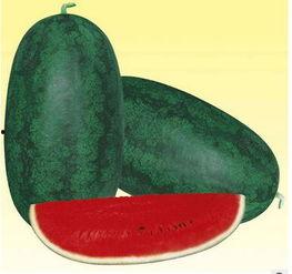 今日黑瓜,揭秘娱乐圈最新热点事件