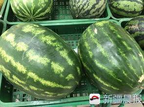 乌鲁木齐今日红瓜价,新鲜上市，价格亲民！”