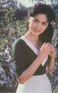 石家庄明星网红住哪里