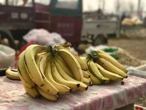 莘县黄心小吊瓜今日价格,价格行情一览”