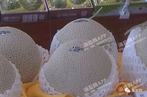 浙江嘉兴哈密瓜今日价格,价格行情一览