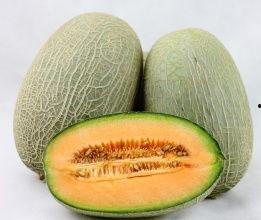 今日哈密瓜批发行情