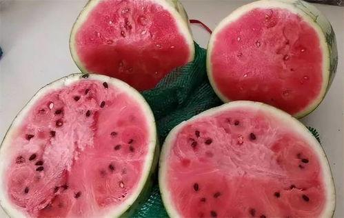 襄阳今日麒麟瓜批发