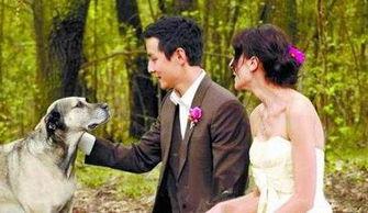 有钱人娶明星网红,有钱人偏爱明星网红的婚恋密码