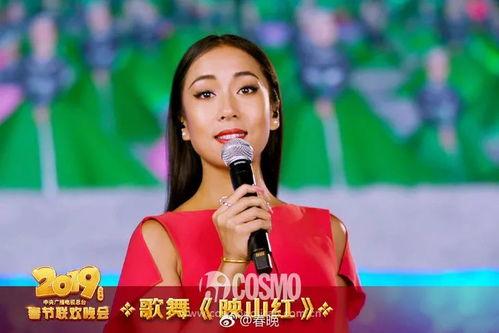 南京晚会明星网红有哪些,璀璨星光闪耀夜空