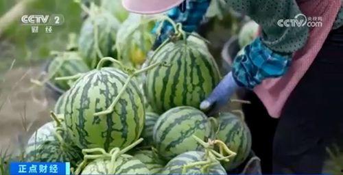 今日热门大瓜TOP1,揭秘惊人内幕，震惊娱乐圈！