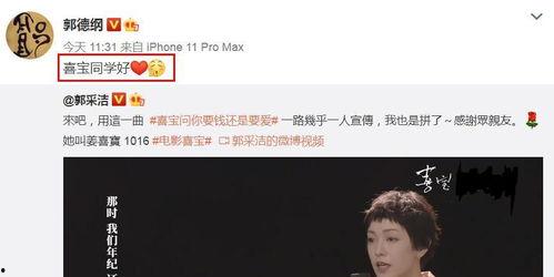 帮宣传东北的明星网红,共筑东北魅力新篇章