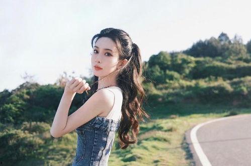 帮宣传东北的明星网红,共筑东北魅力新篇章