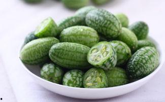 今日登封卖瓜多少钱一斤,瓜价几何，新鲜上市