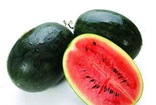 91黑科吃瓜官网入口,带你走进神秘的网络世界